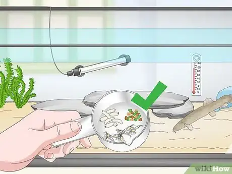 Image titled Keep Japanese Weather Loaches Step 7