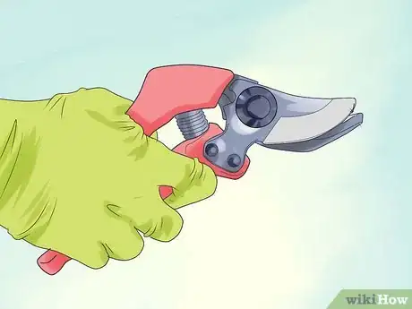 Image titled Prune Drift Roses Step 3