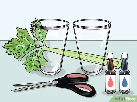 Image titled Change the Color of a Celery Stalk Step 7