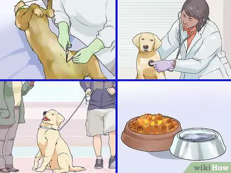 Image titled Responsibly Give a Dog As a Gift Step 4