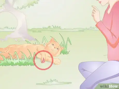 Image titled Approach a Sick or Injured Dog or Cat Step 2