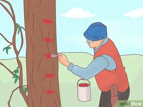 Image titled Become a Forester Step 8