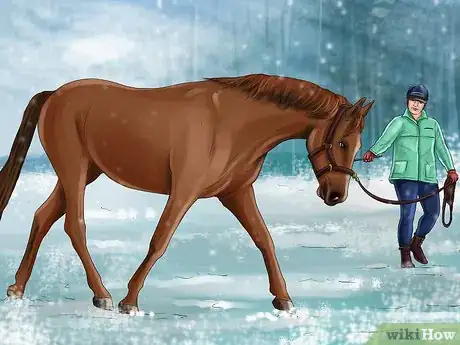 Image titled Exercise Horses in Cold Weather Step 3