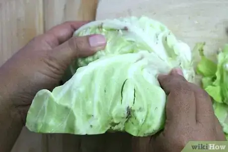 Image titled Steam Cabbage Step 3Bullet2