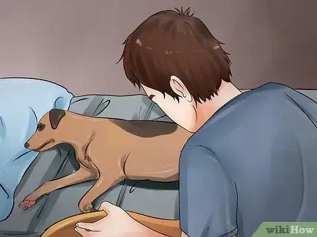 Image titled Detect Canine Bladder Stones Step 10