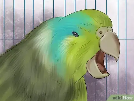 Image titled Care for a Pacific Parrotlet Step 15