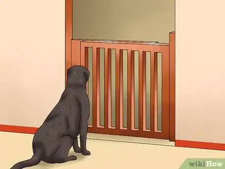 Image titled Deal with Having a Visually Impaired Dog Step 18