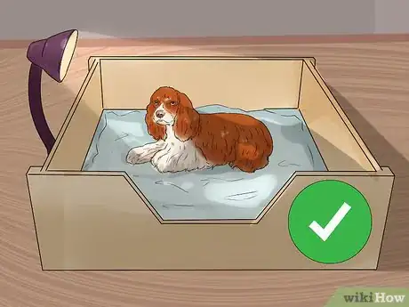 Image titled Breed Scottish Cocker Spaniels Step 11