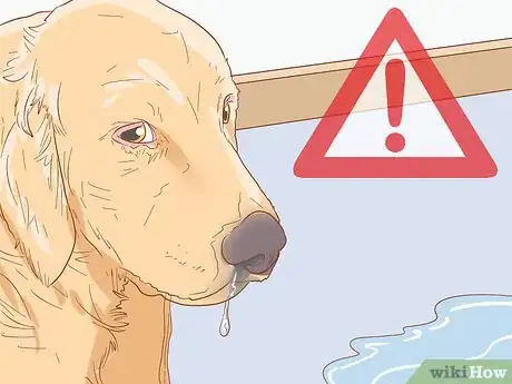 Image titled Treat Skin Allergies in Golden Retrievers Step 16