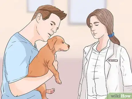 Image titled Identify and Correct Unwanted Dog Behaviors Step 9