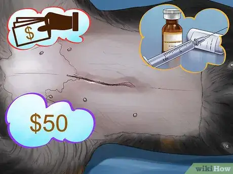 Image titled Decide if a Pit Bull Is Right for You Step 9