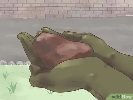 Image titled Grow Begonias Step 3