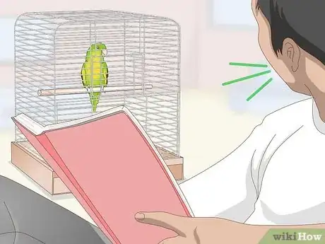 Image titled Teach a Parrotlet to Speak Step 2