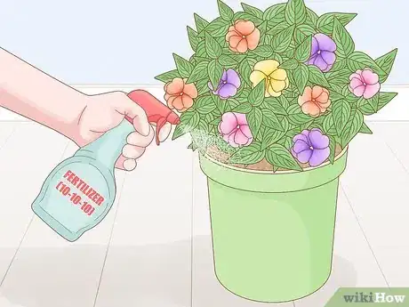 Image titled Grow New Guinea Impatiens Indoors Step 11