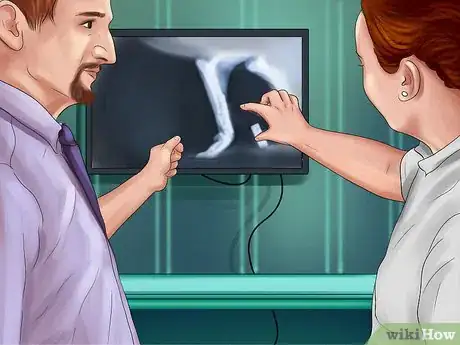 Image titled Diagnose Bone Diseases in Growing Dogs Step 8