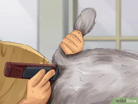 Image titled Treat Canine Incontinence Step 14