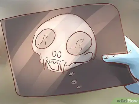 Image titled Diagnose IBD in Cats Step 10