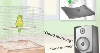 Teach a Parrotlet to Speak