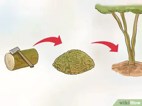 Image titled Garden in a Mediterranean Climate Step 10