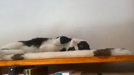 Image titled WP_20170527_17_02_55_Pro