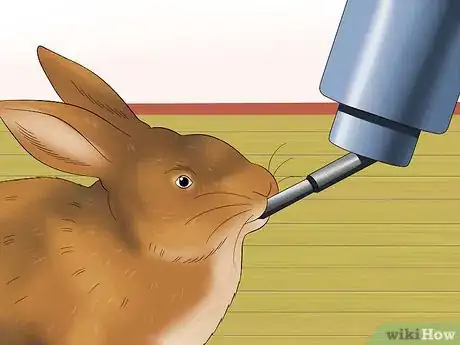 Image titled Care for Sussex Rabbits Step 9