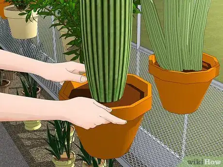 Image titled Keep Your Plant Nursery Clean Step 2