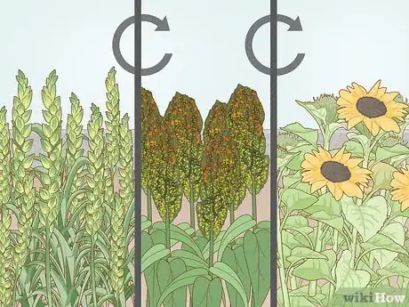 Image titled Help Prevent Desertification Step 2