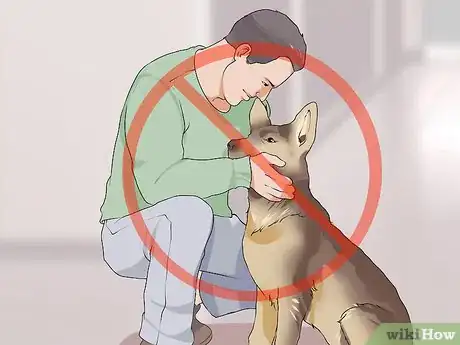 Image titled Handle New Noise Phobias in Older Dogs Step 11