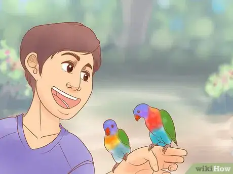 Image titled Know if Lories and Lorikeets Are Right for You Step 8