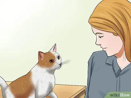 Image titled Prepare Your Cat for a New Baby Step 18