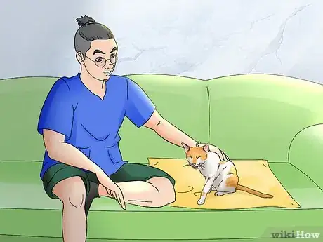 Image titled Identify and Help Feral and Stray Cats Step 16