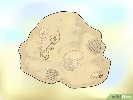 Image titled Learn About Sedimentary Rocks Step 2Bullet4