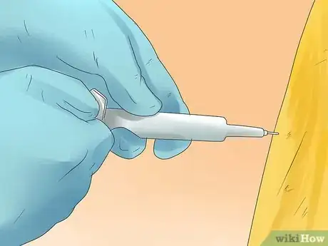 Image titled Diagnose and Treat Dog Diarrhea Step 8