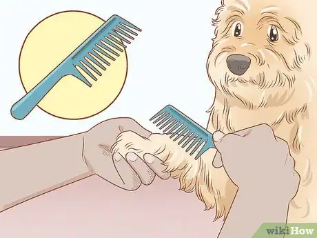 Image titled Groom a Wheaten Terrier Step 4
