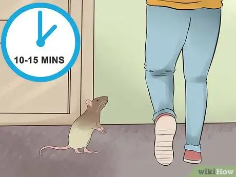 Image titled Train Your Rat to Do Tricks Step 6