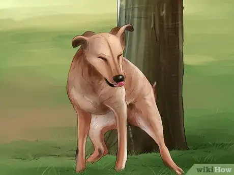 Image titled Know if Your Female Dog Is Ready to Breed Step 3
