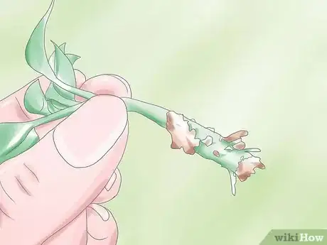 Image titled Deadhead Petunias Step 9