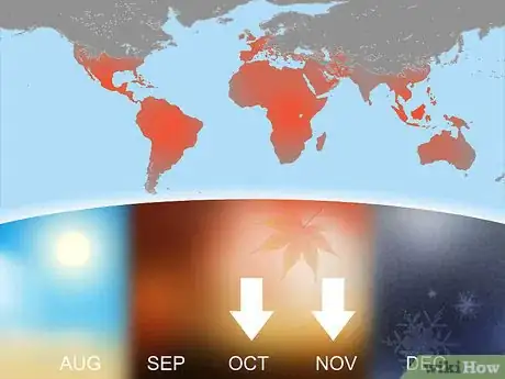 Image titled Grow Wildflowers Step 3