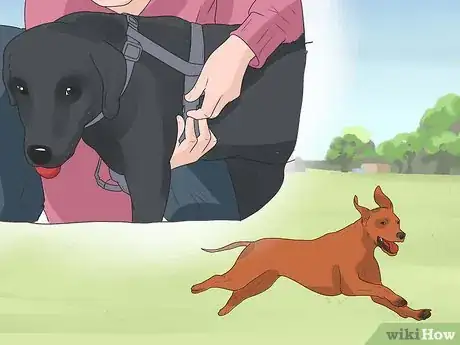 Image titled Prepare Your Dog to Go Off‐Leash Step 14