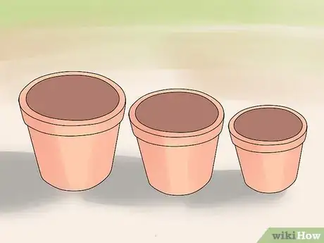 Image titled Grow Roses in Containers Step 1