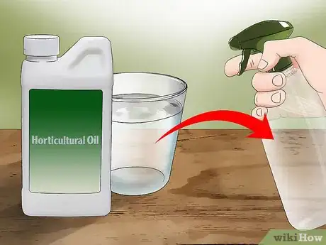 Image titled Kill Spider Mites Step 4