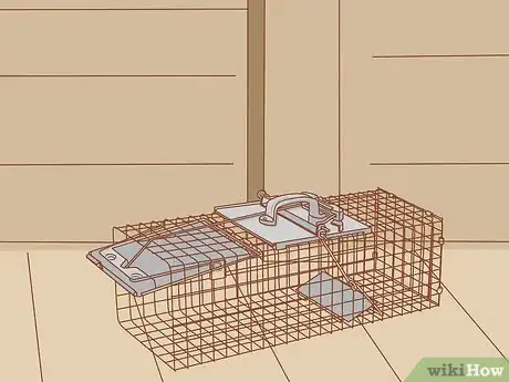 Image titled Get Rid of Squirrels in the Attic Step 10