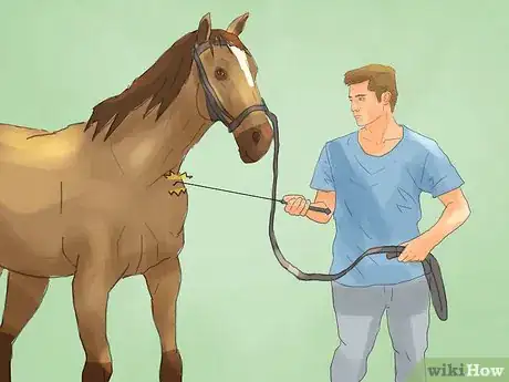 Image titled Hand Walk an Injured Horse Step 11