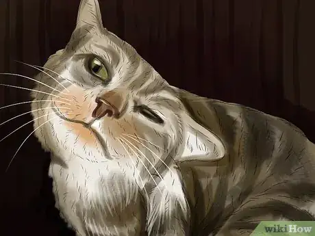 Image titled Treat Skin Inflammation in Cats Step 9