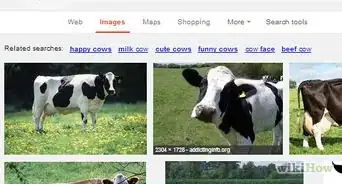 Look for Freely Licensed Images on Google