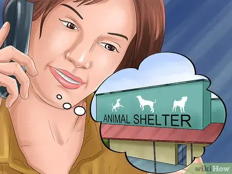 Image titled Find Low‐Cost Spay or Neuter Programs for Cats Step 2