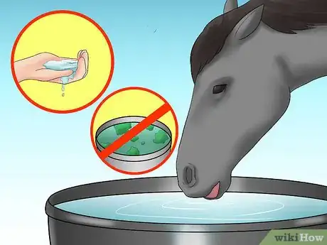 Image titled Avoid Poisoning Your Horse Step 8