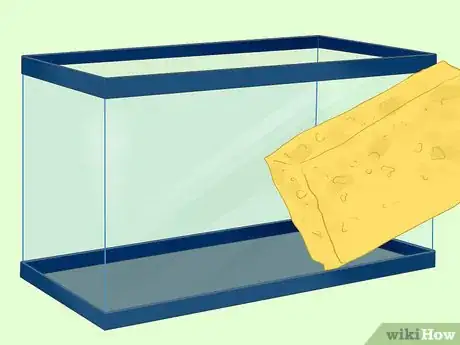 Image titled Treat Fungal Infections in Fish Step 5