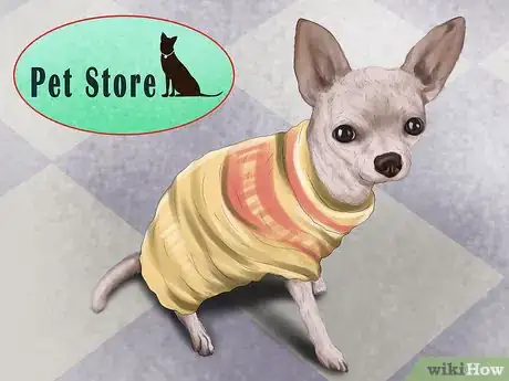 Image titled Care for Your Dog in the Winter Step 12