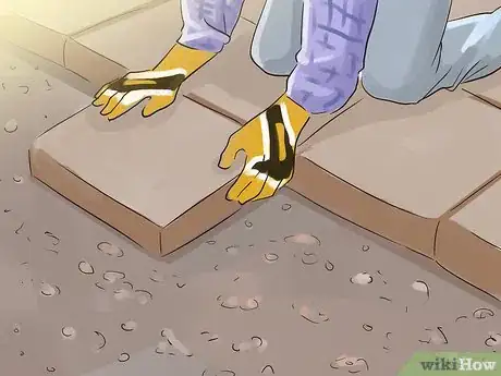 Image titled Improve Biodiversity in Schools Step 6